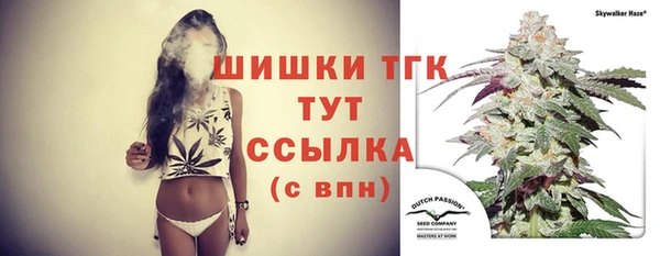 шишки Аркадак