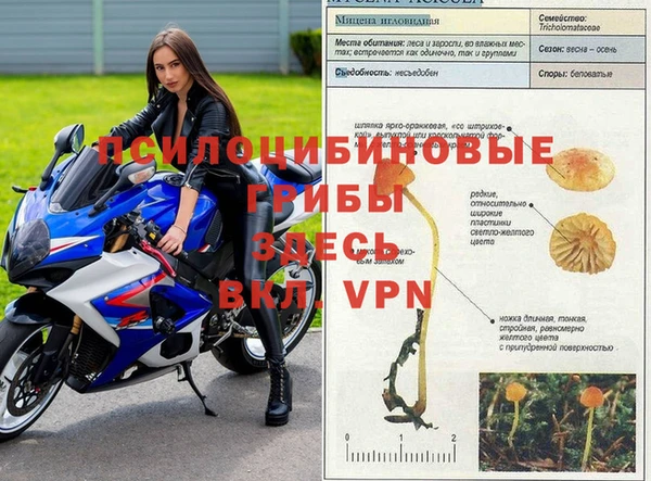 MDMA Premium VHQ Алзамай